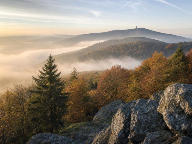 Atmosphärisches Symbolbild bewaldeter Taunushöhen im Morgennebel